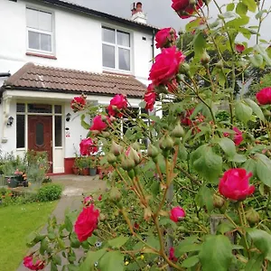 Bed & Breakfast Beechlands