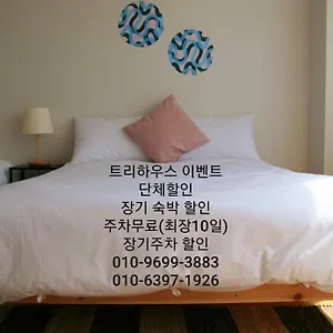 Treehouse Corea del Sud