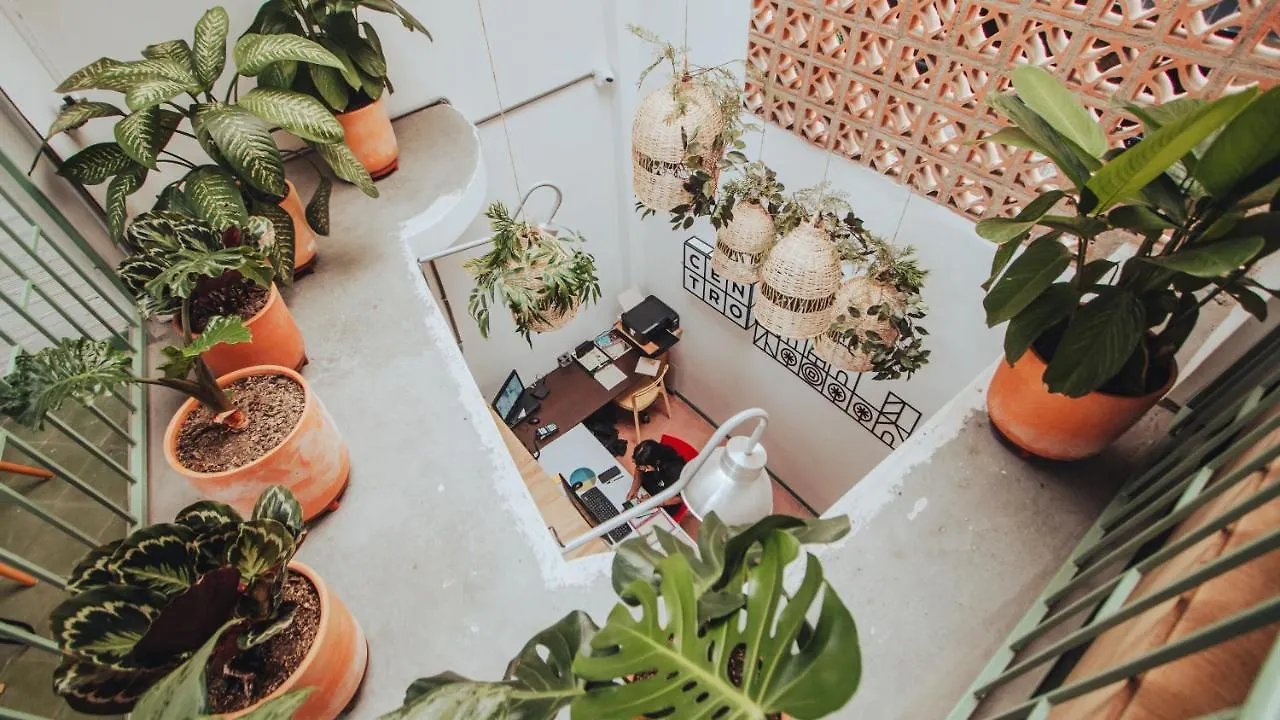 Centro Hostel メデジン